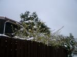 IMGP1611.JPG