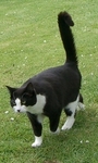 IMGP1751.JPG