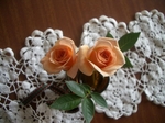 IMGP2394.JPG