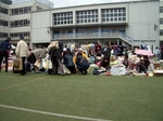 IMGP3351.JPG